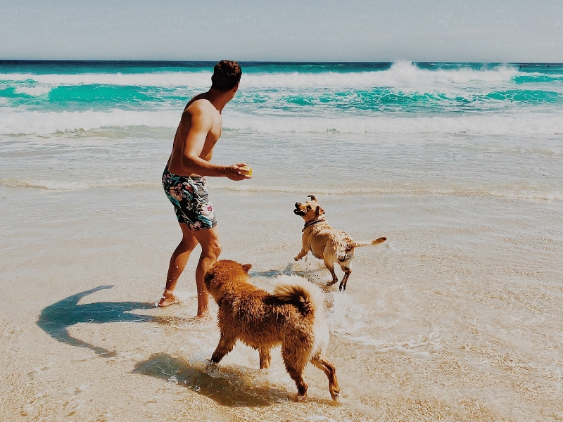 Nakheel invites visitors and their furry friends to enjoy the sun, sand and cool waters of Dubai Islands Beach